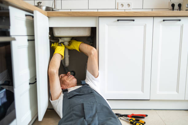 Best Toilet Repair Services  in Dixmoor, IL