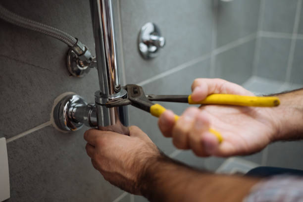 Best Drain Cleaning Services  in Dixmoor, IL